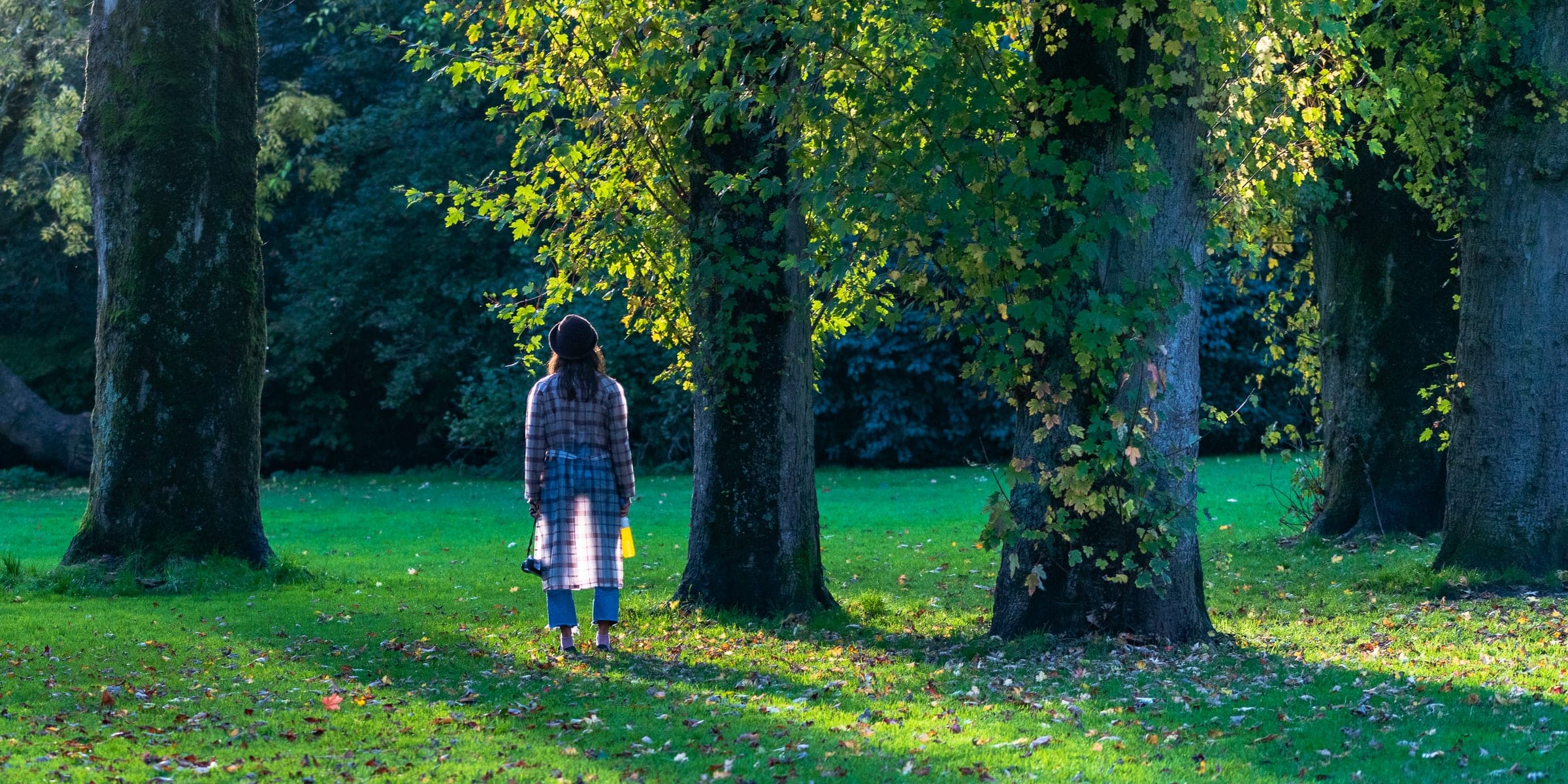 Solitary figure among autumn park trees
