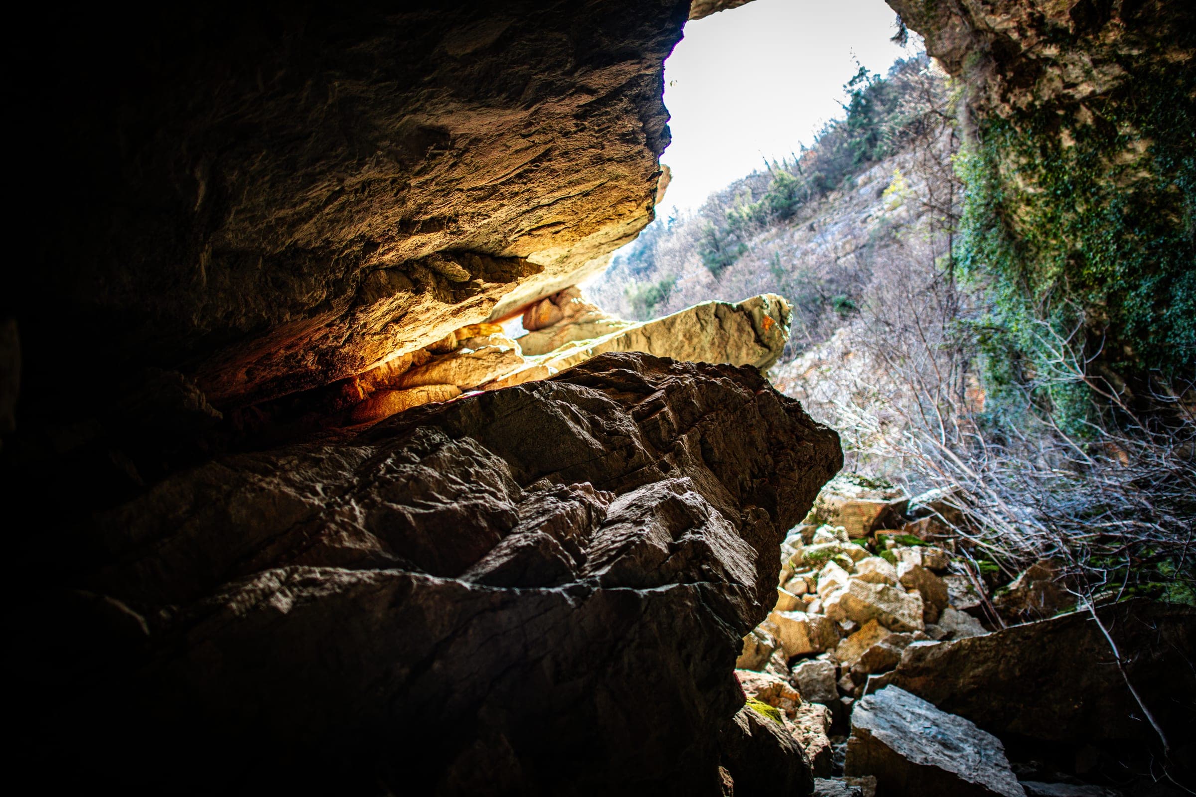 Sunlit cave mouth opening to the wild