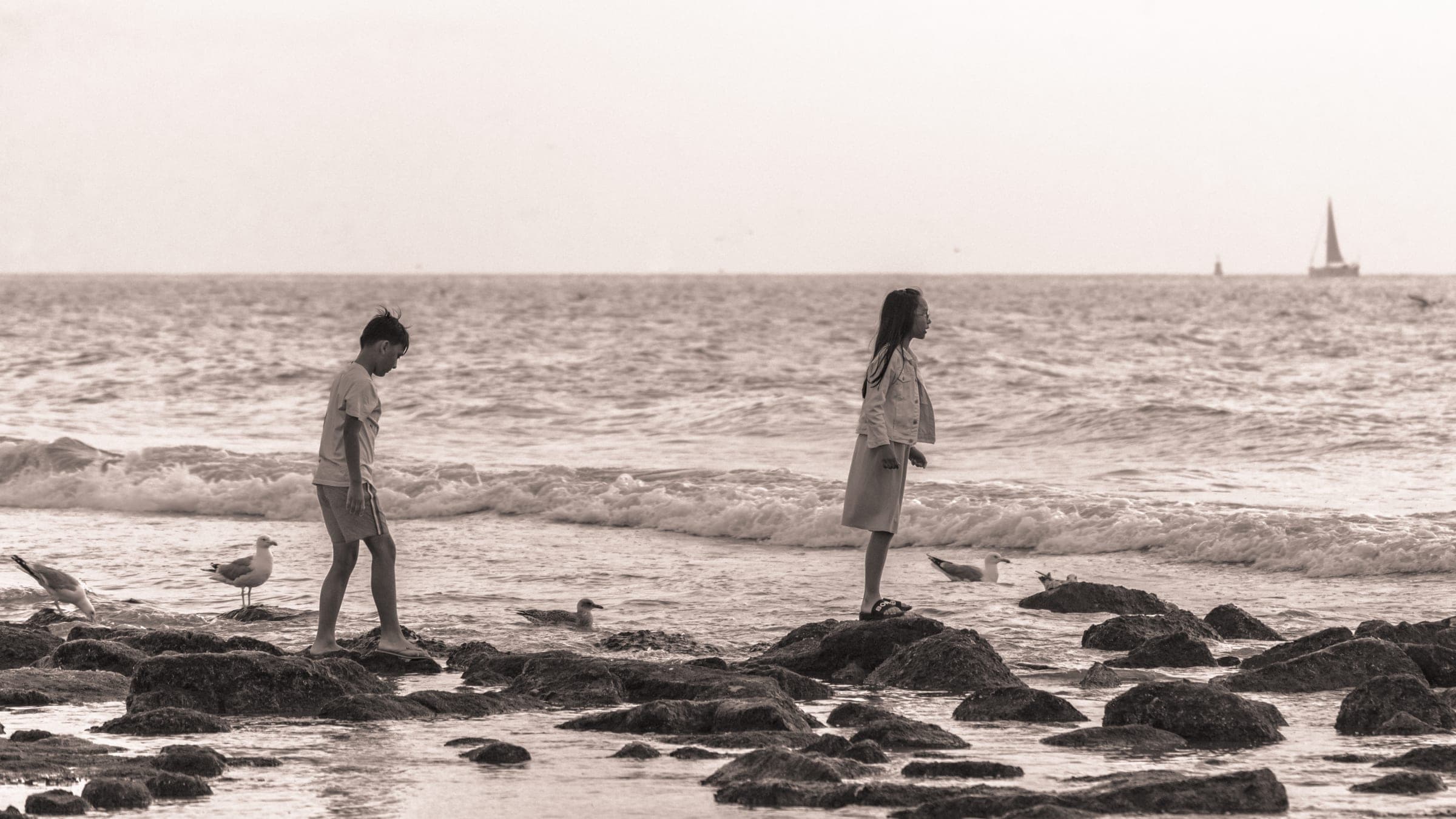Children and gulls on a sepia shore
