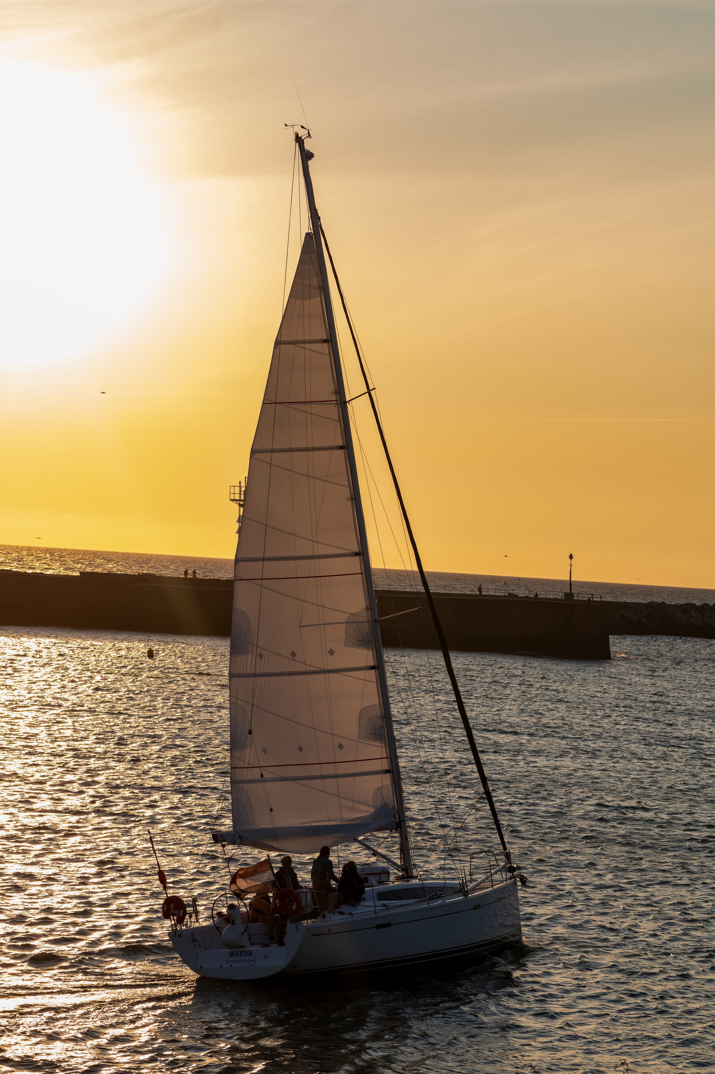 Sailboat returning to harbor at sunset