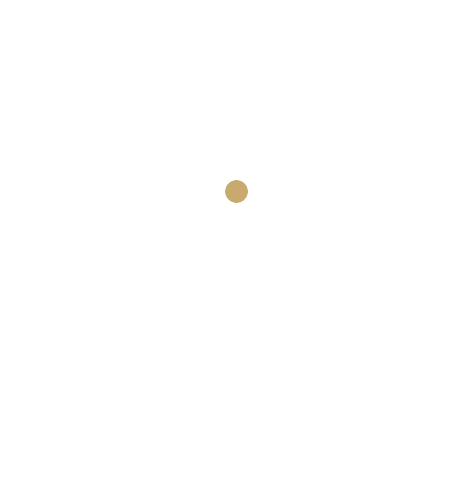 Linz Perspectief