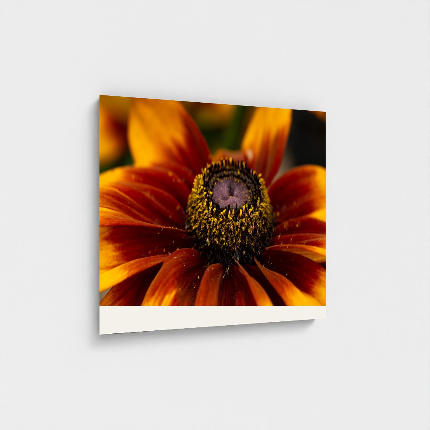 Black frame · box · no mount