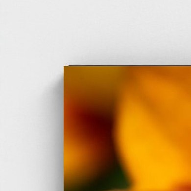 Black frame · box · no mount