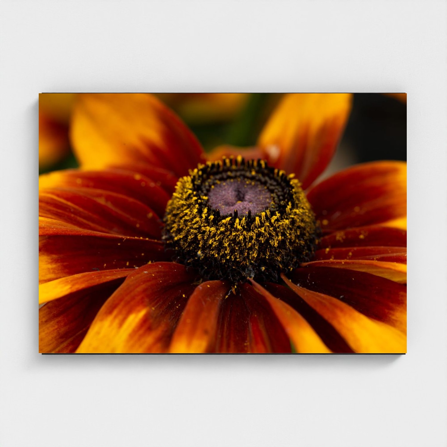 Black frame · box · no mount