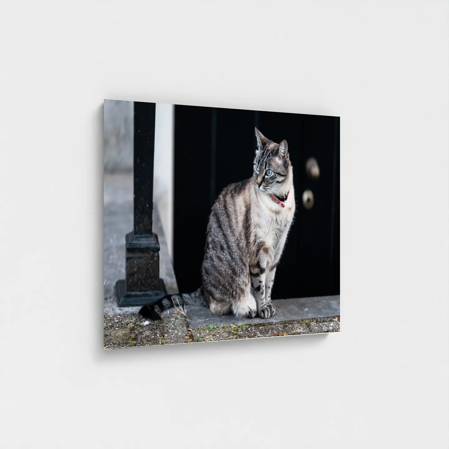 Black frame · box · no mount