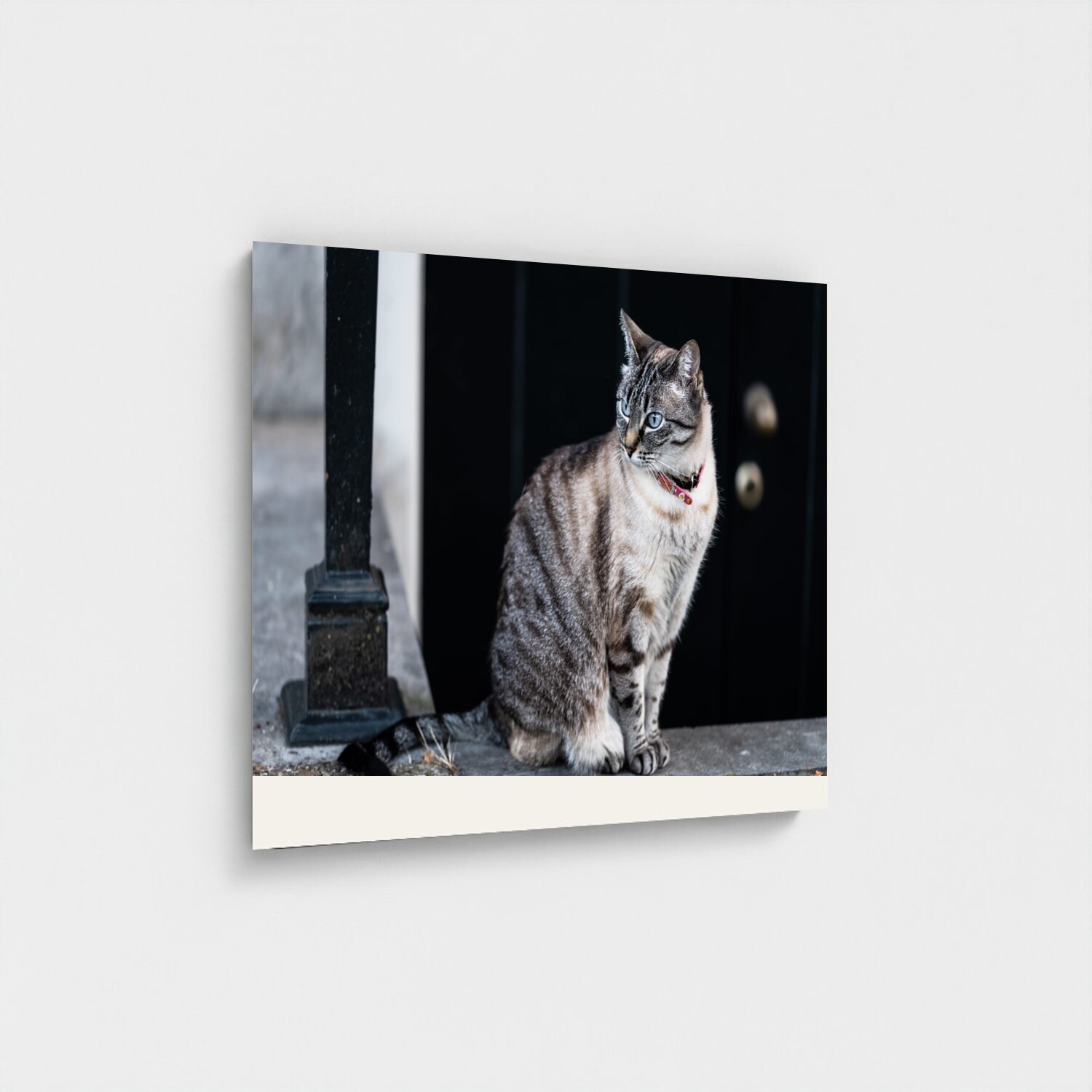 Black frame · box · no mount
