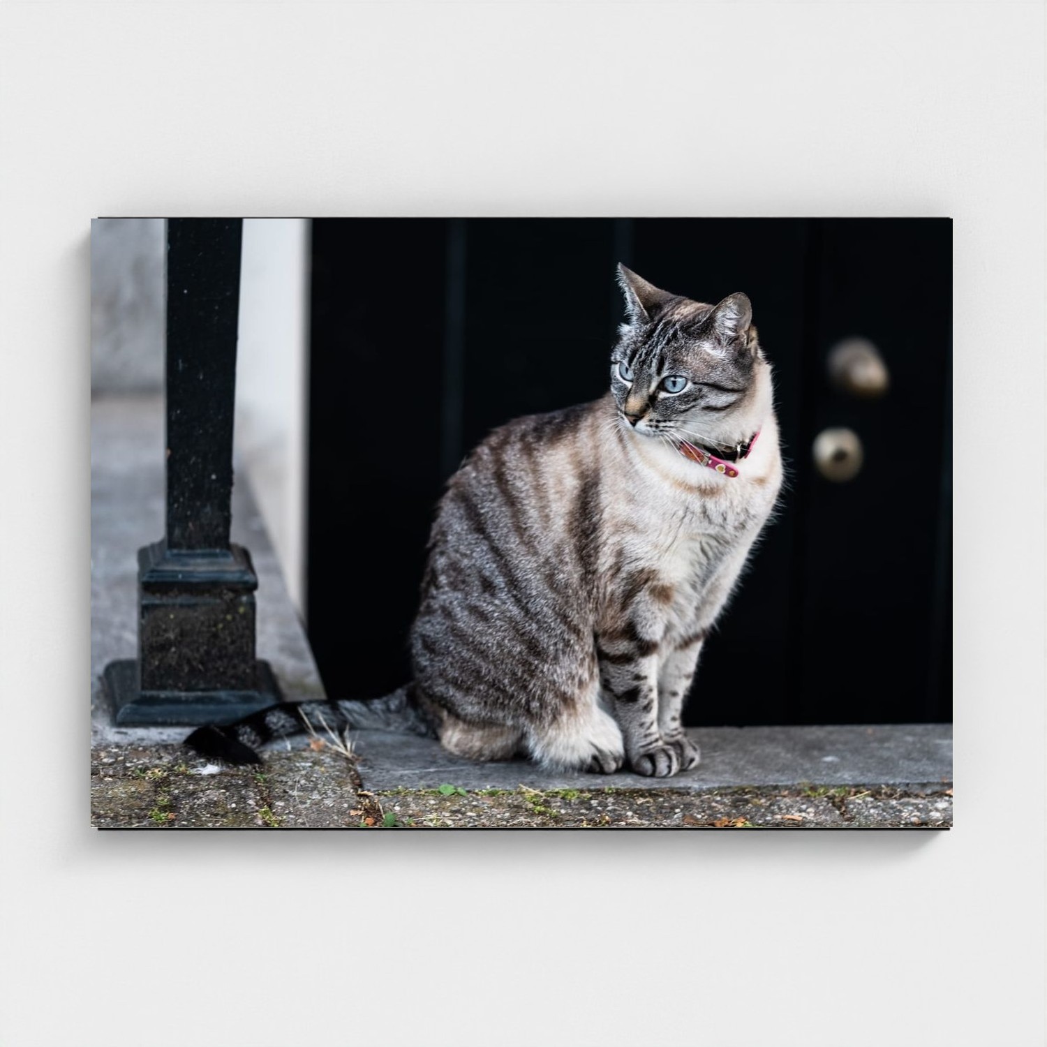 Black frame · box · no mount