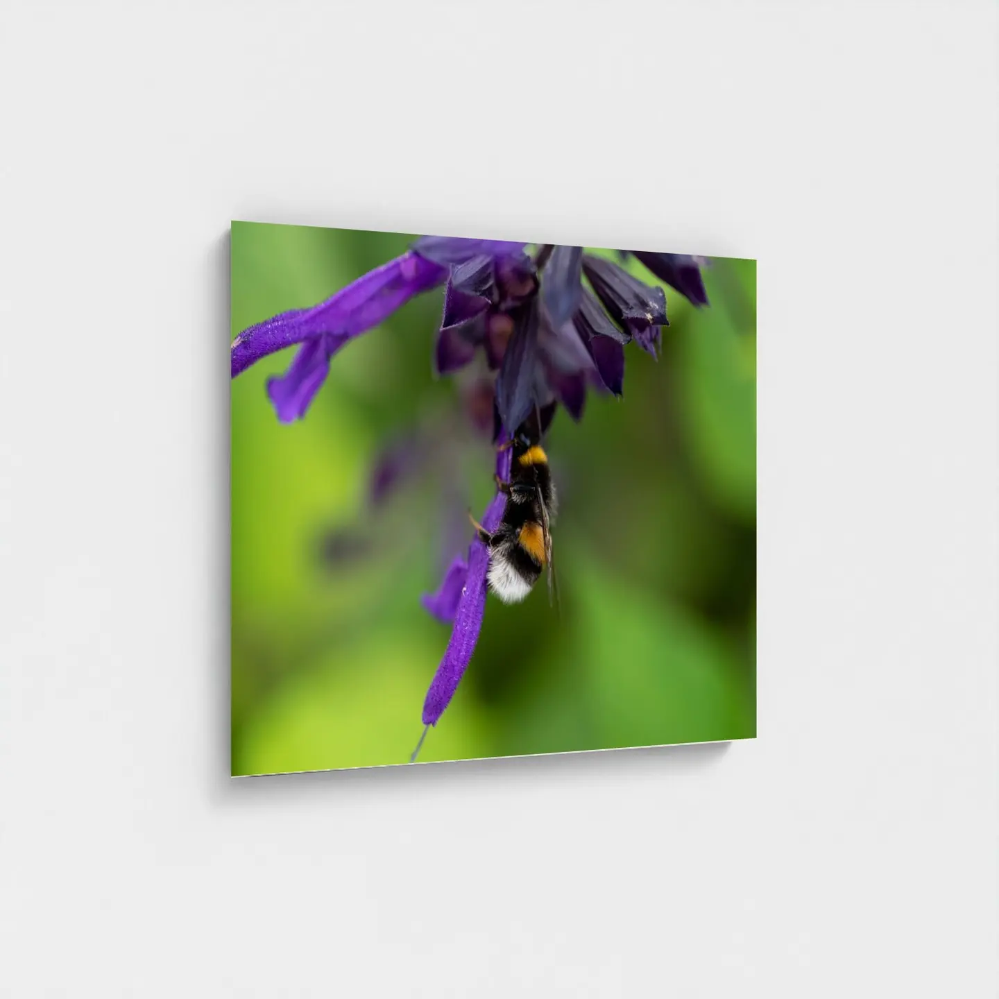 Black frame · box · no mount