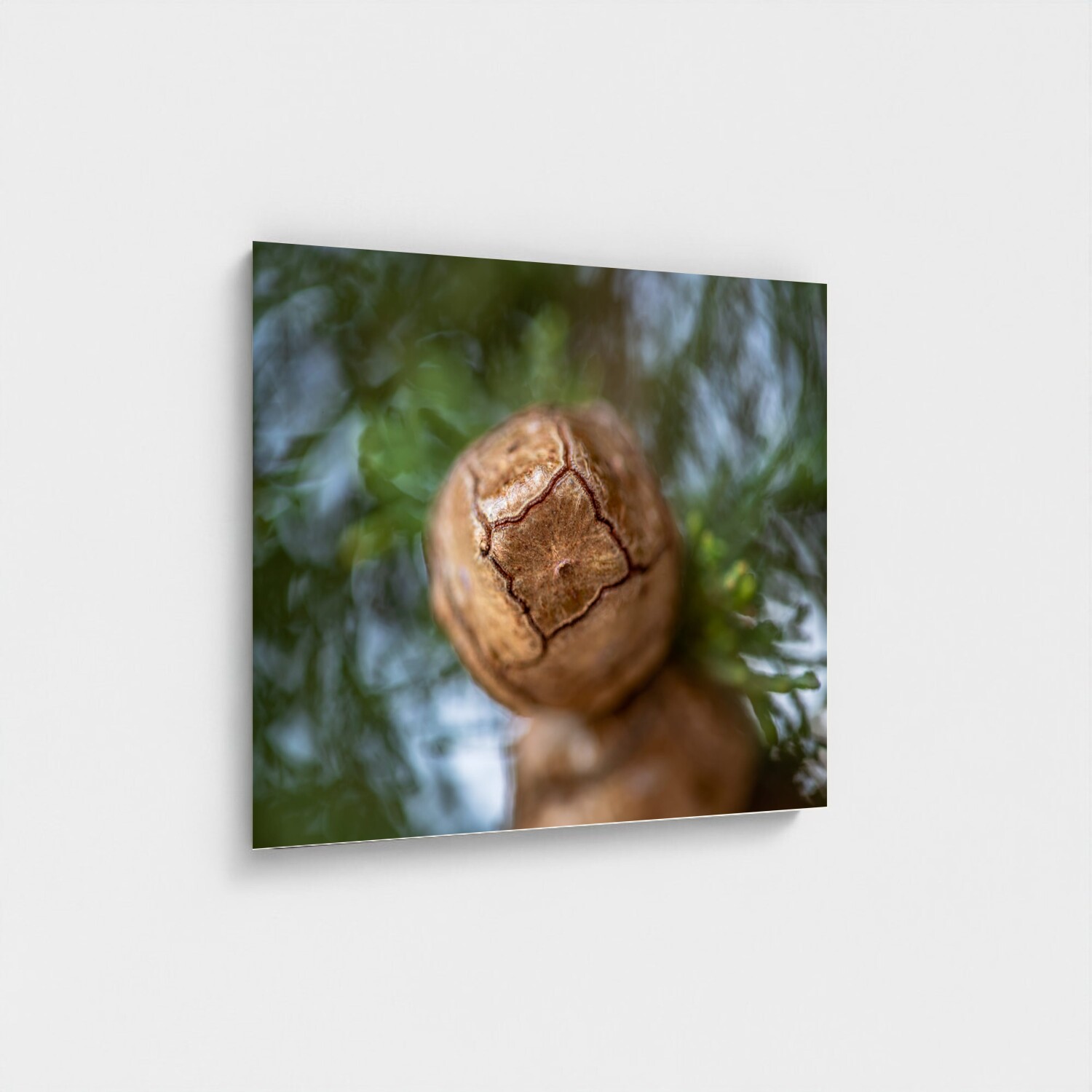 Black frame · box · no mount
