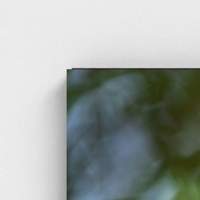 Black frame · box · no mount