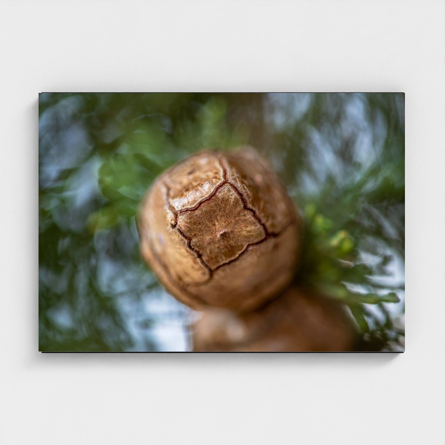 Black frame · box · no mount