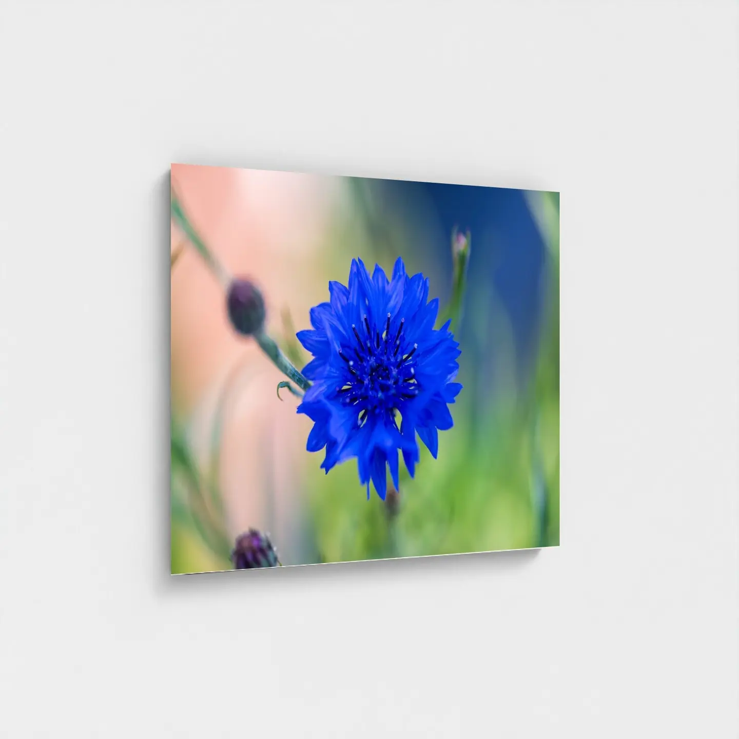 Black frame · box · no mount