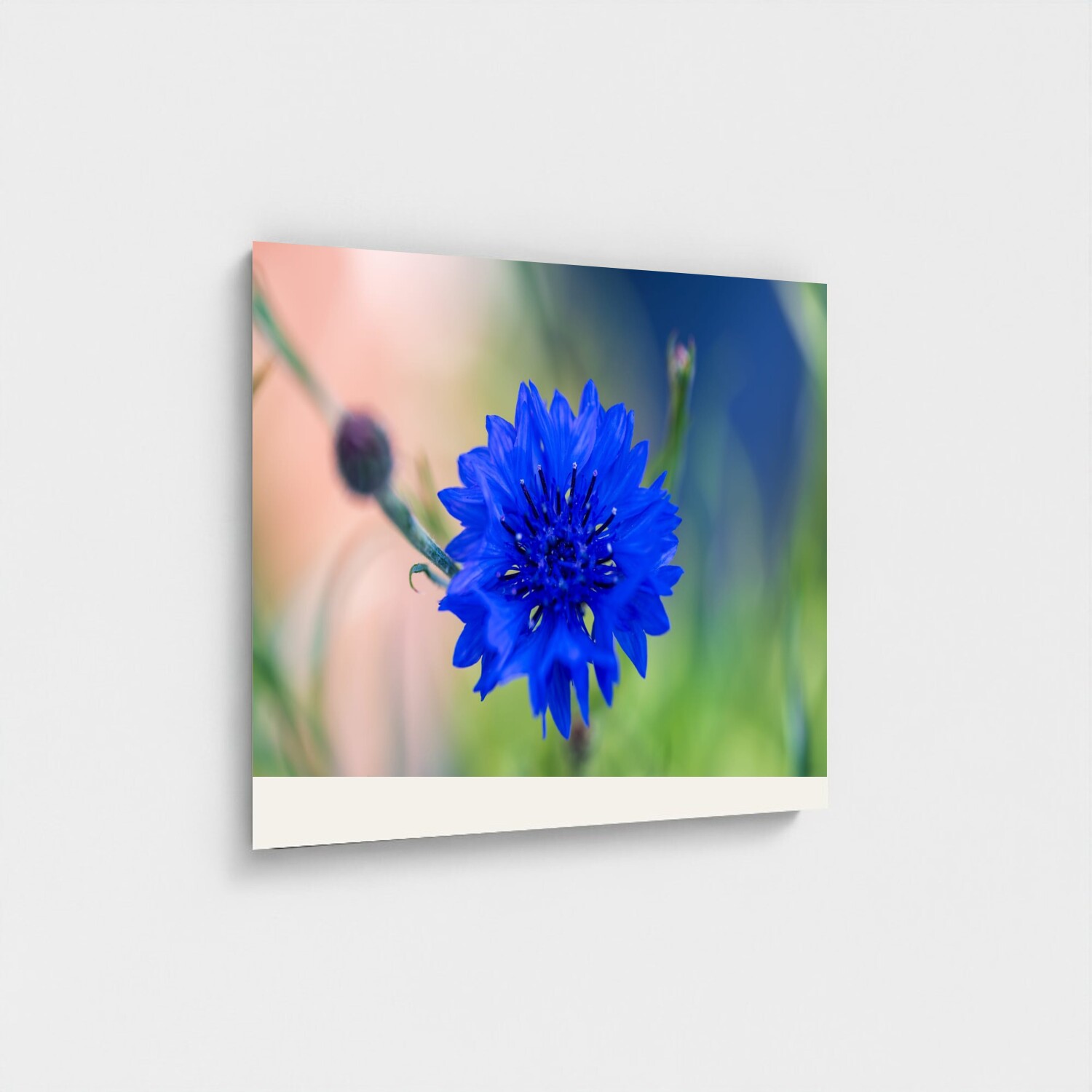 Black frame · box · no mount