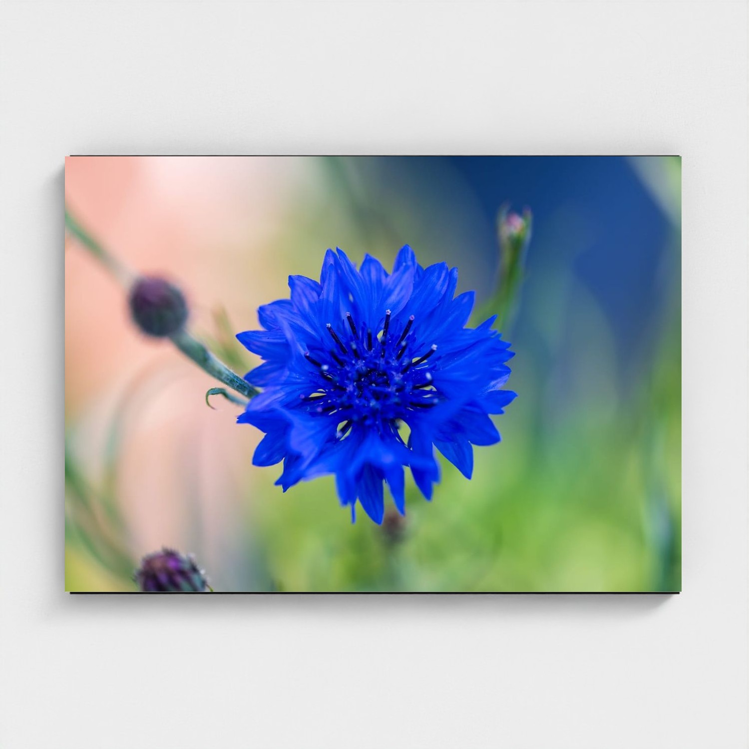 Black frame · box · no mount