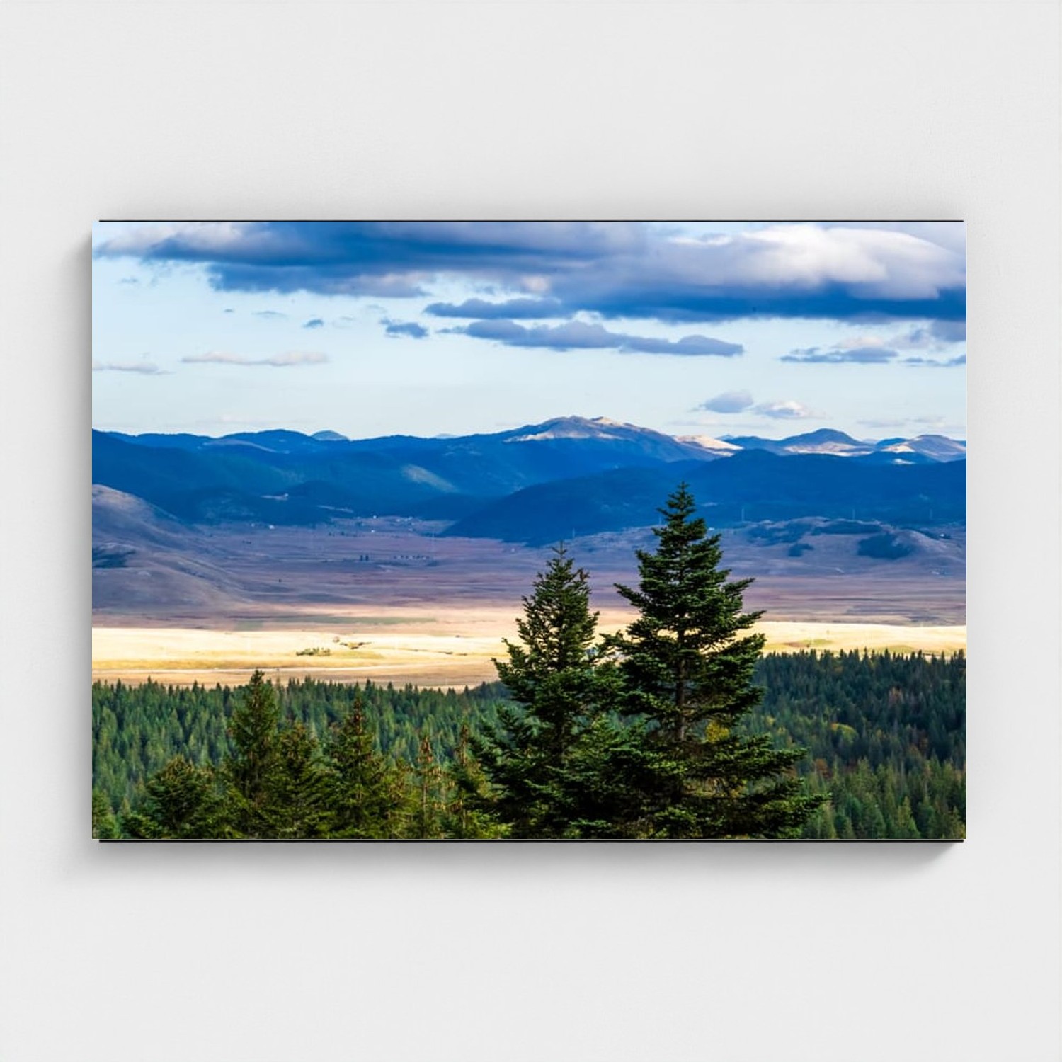 Black frame · box · no mount