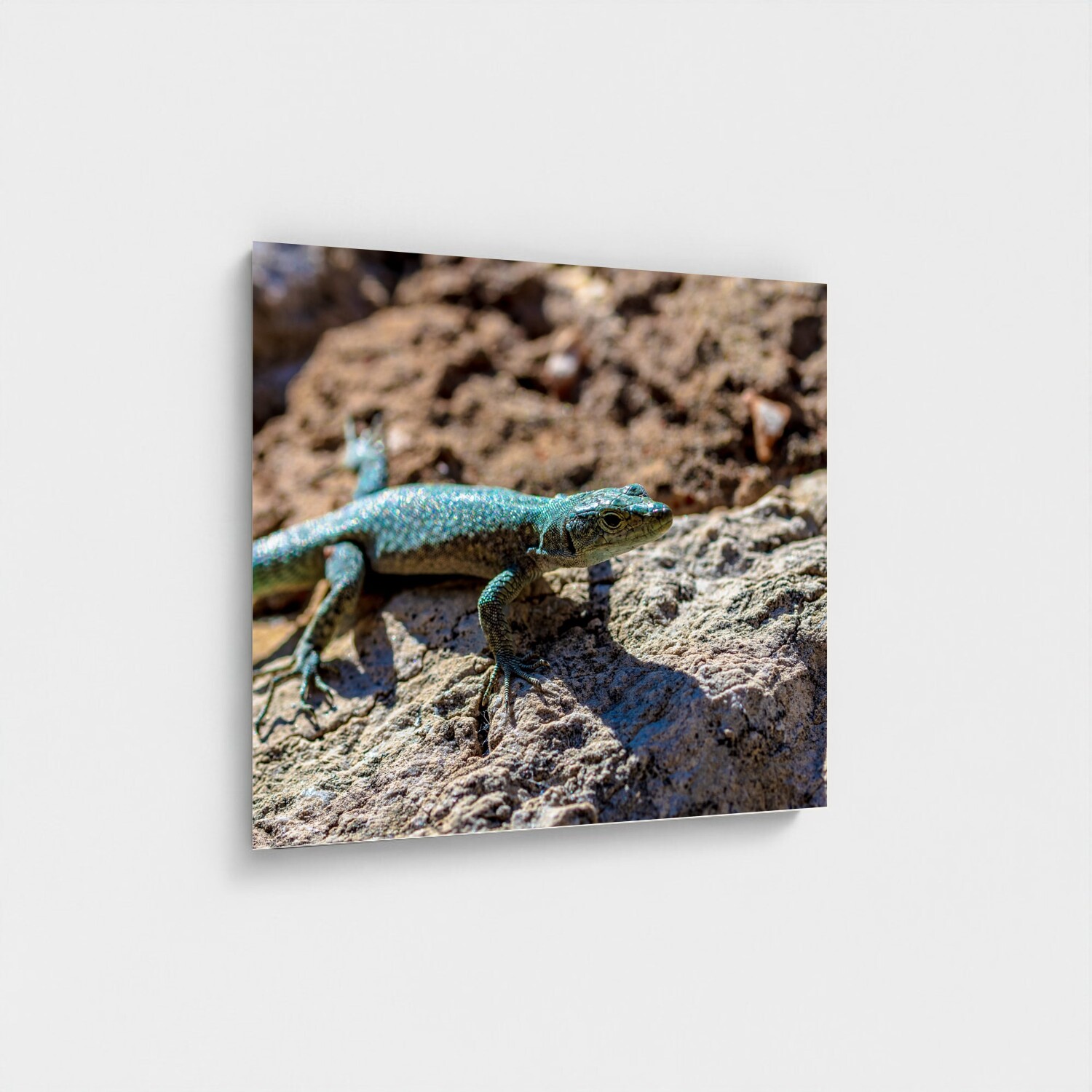 Black frame · box · no mount