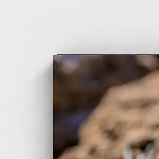 Black frame · box · no mount