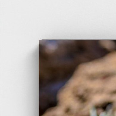 Black frame · box · no mount