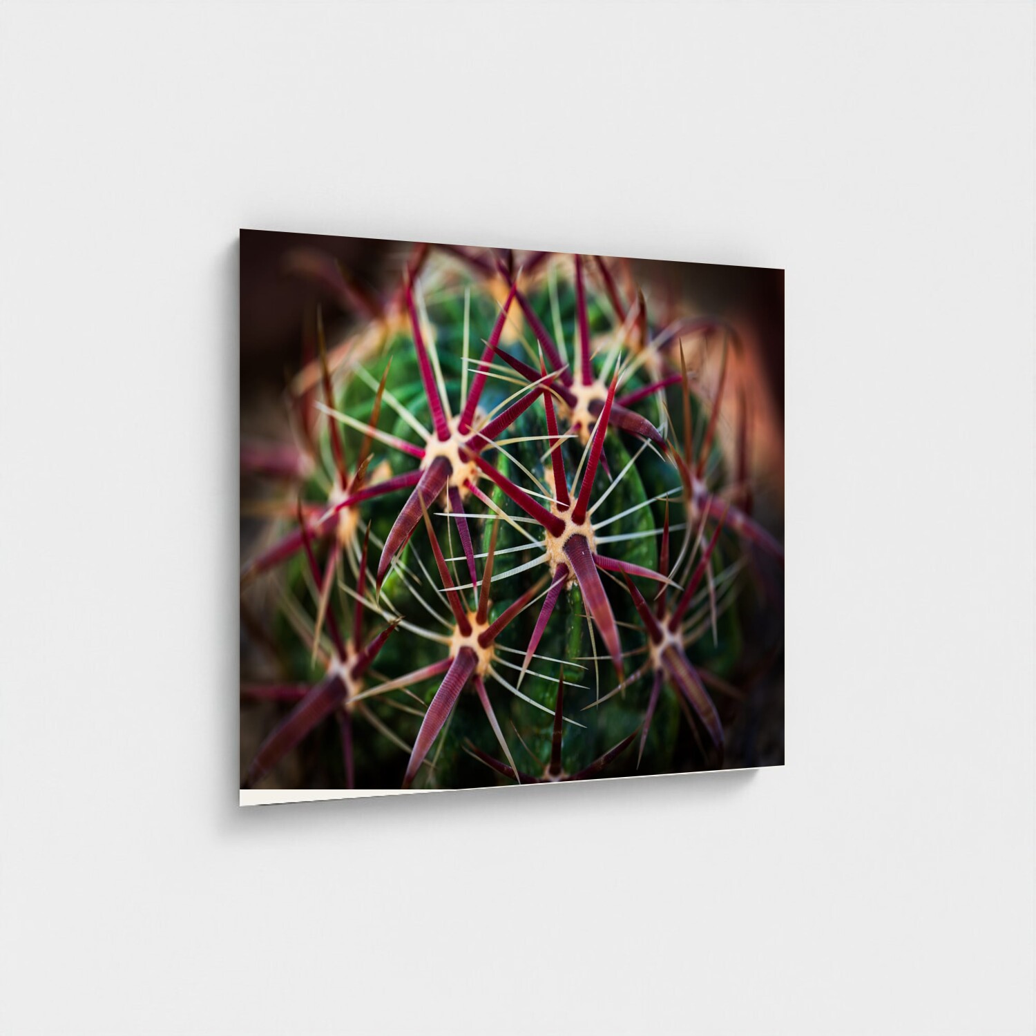 Black frame · box · no mount