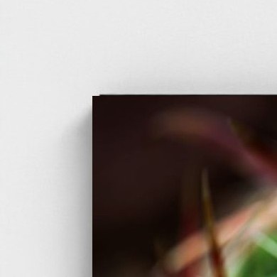 Black frame · box · no mount