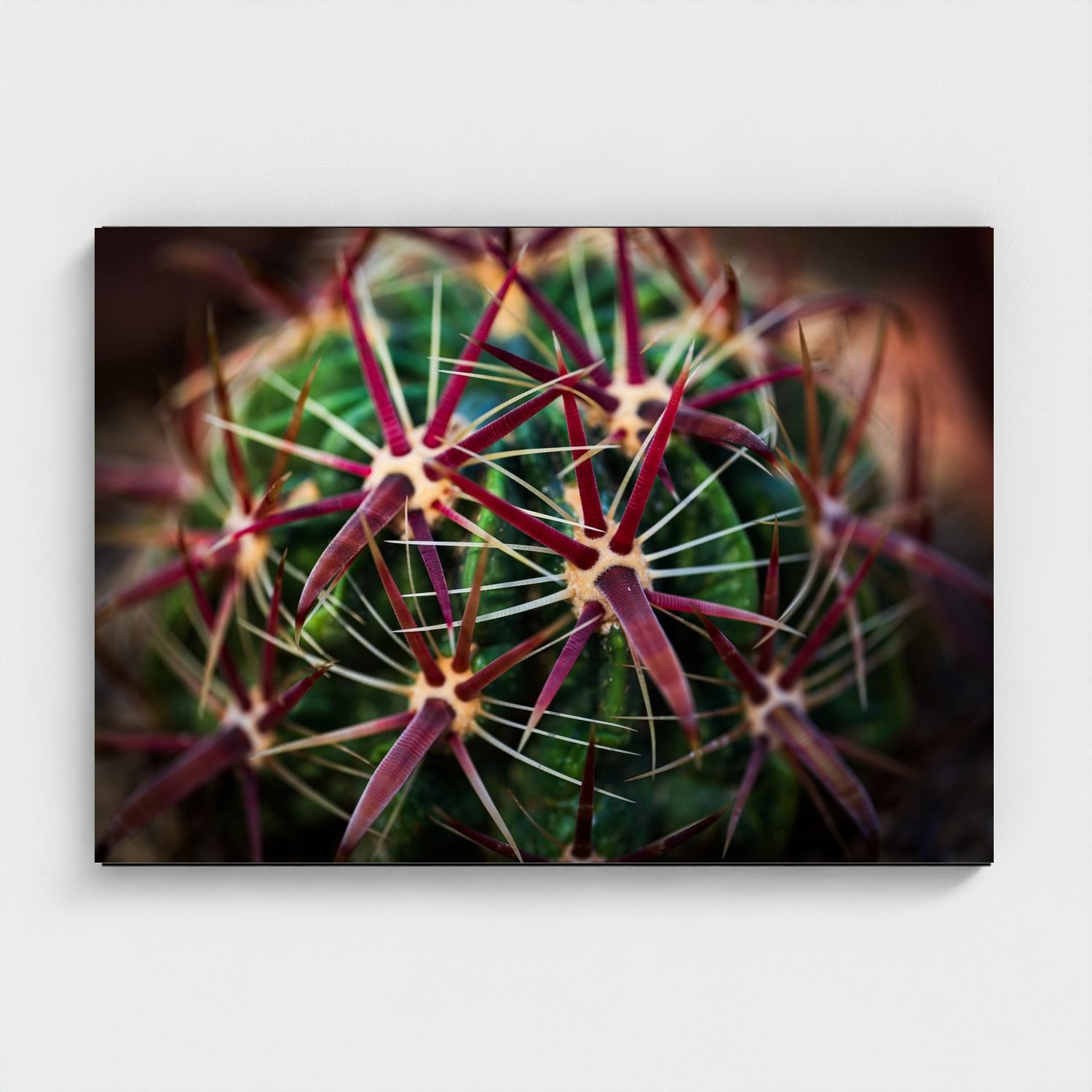Black frame · box · no mount