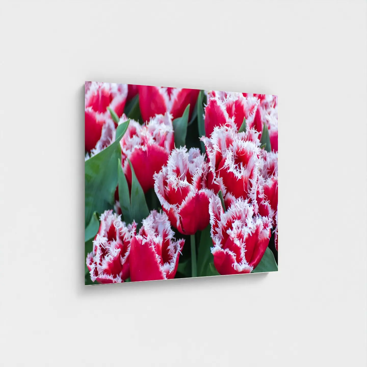 Black frame · box · no mount