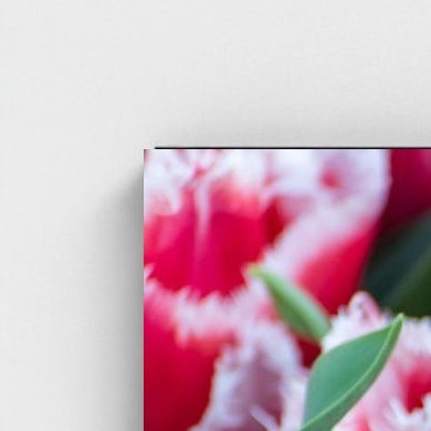 Zwarte lijst · box · zonder passe-partout