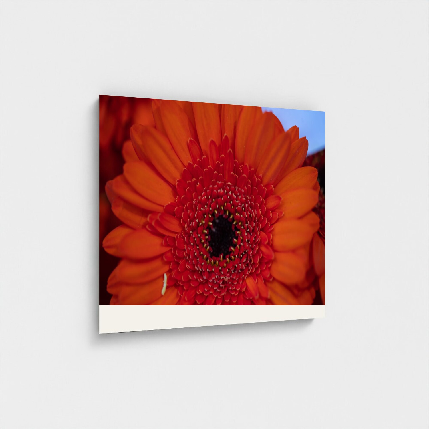 Black frame · box · no mount