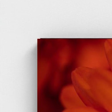 Black frame · box · no mount
