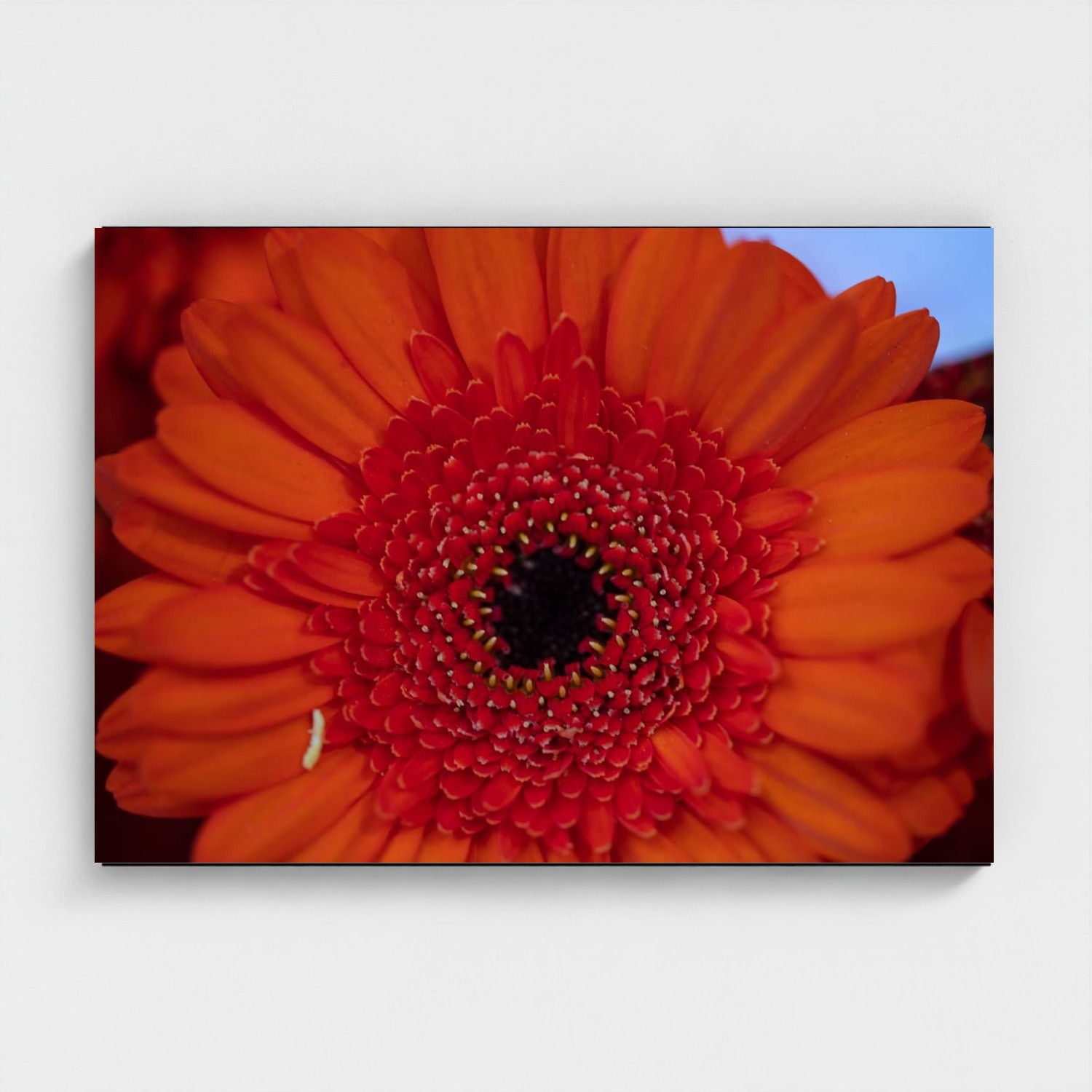 Black frame · box · no mount
