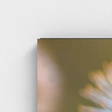 Zwarte lijst · box · zonder passe-partout