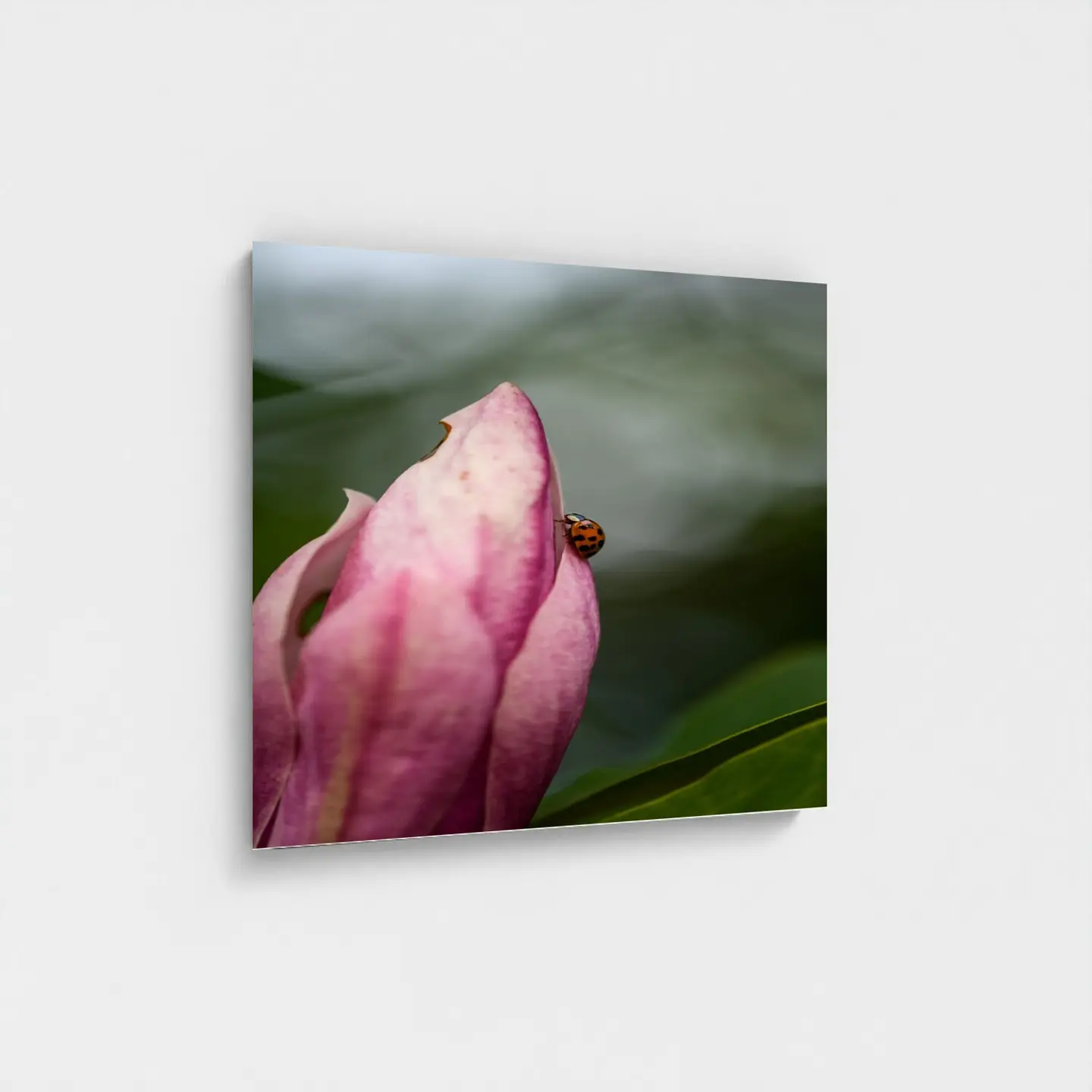 Black frame · box · no mount