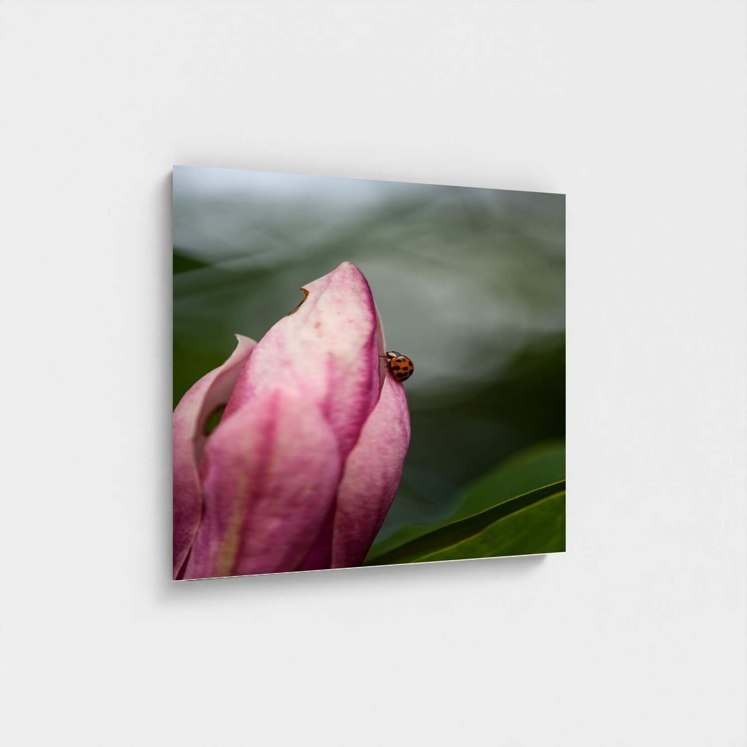 Black frame · box · no mount