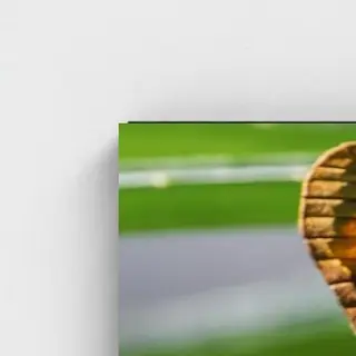 Black frame · box · no mount