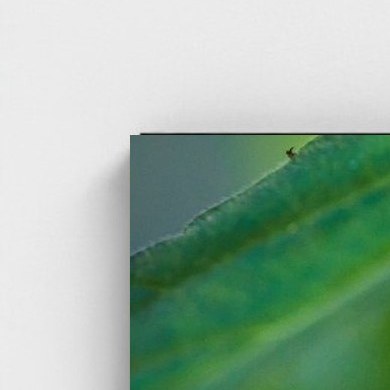Black frame · box · no mount