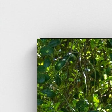 Black frame · box · no mount
