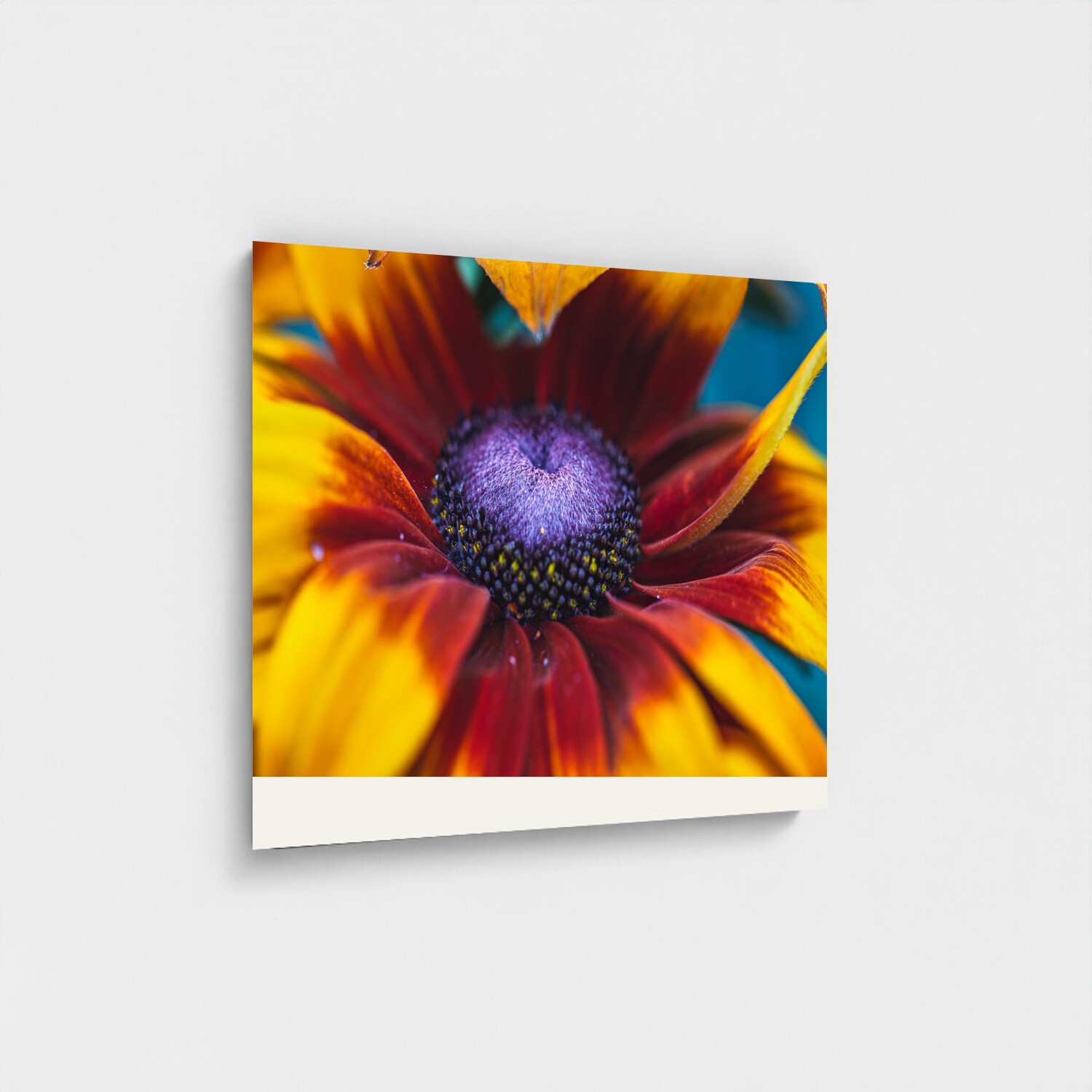 Black frame · box · no mount