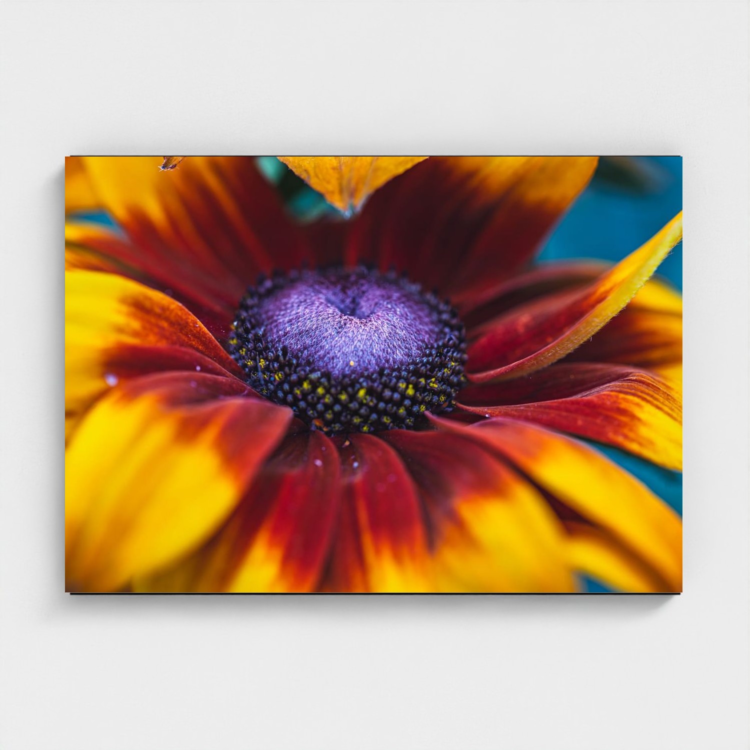 Black frame · box · no mount