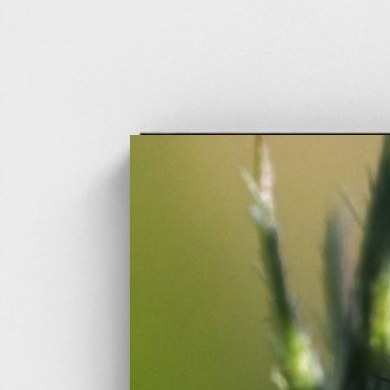 Black frame · box · no mount