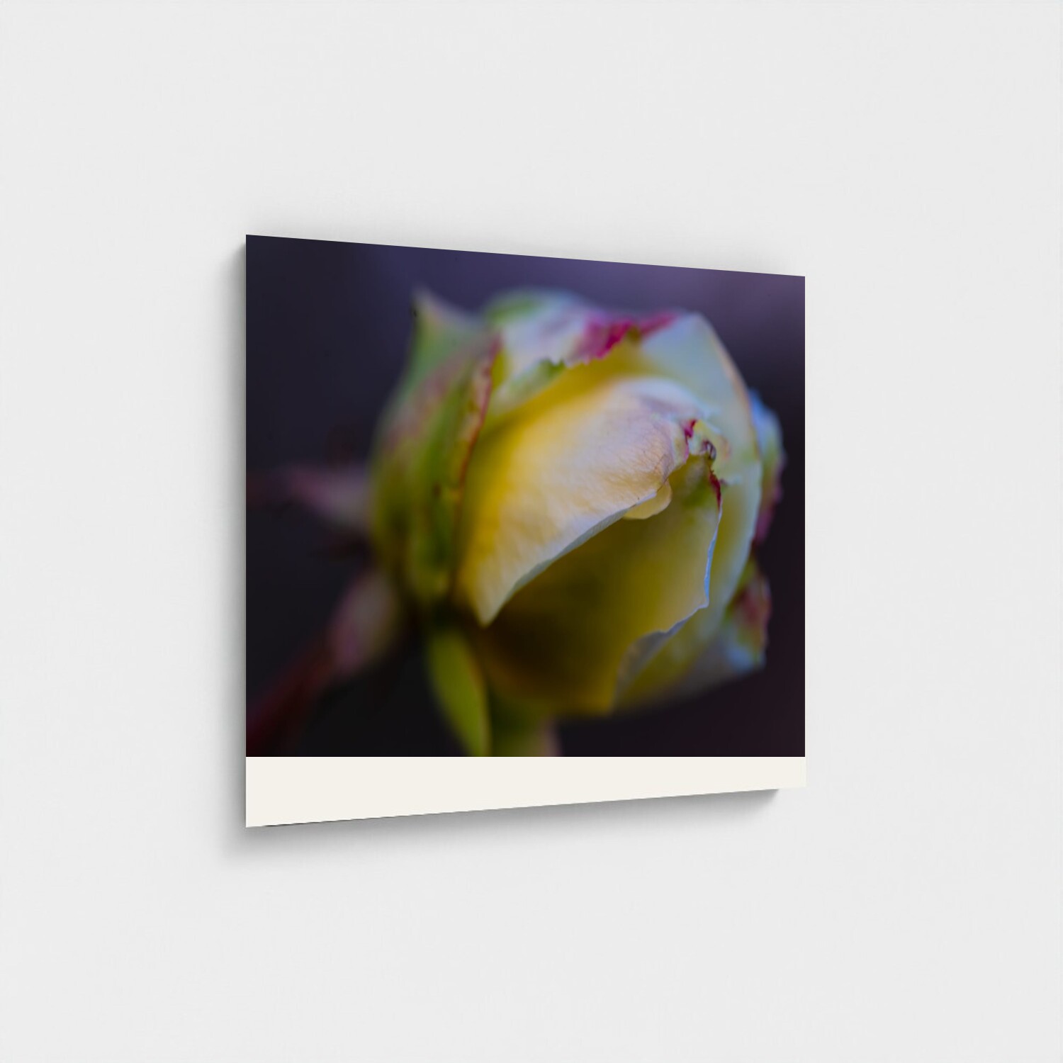 Black frame · box · no mount