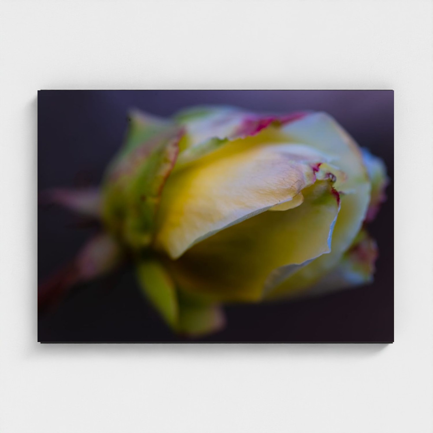 Black frame · box · no mount