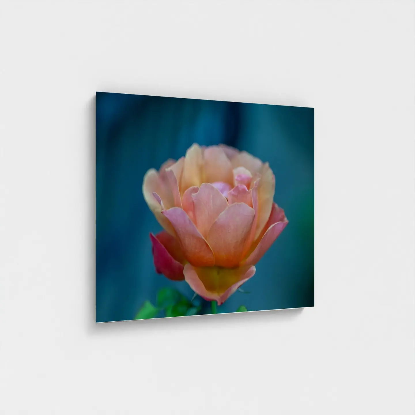 Black frame · box · no mount