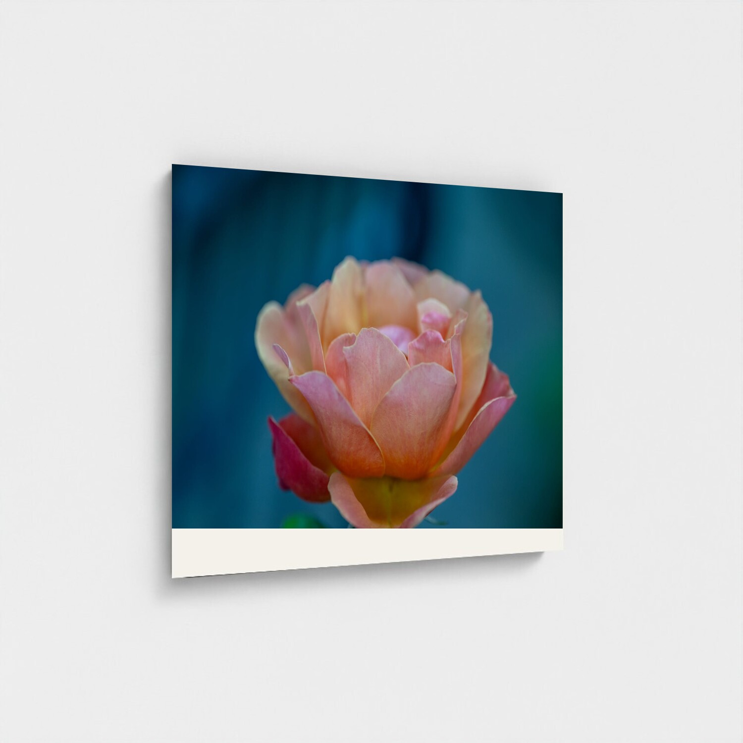 Black frame · box · no mount