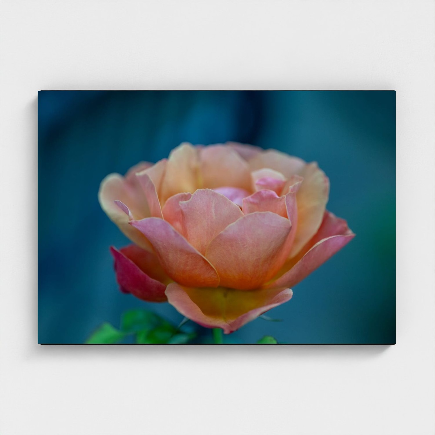 Black frame · box · no mount