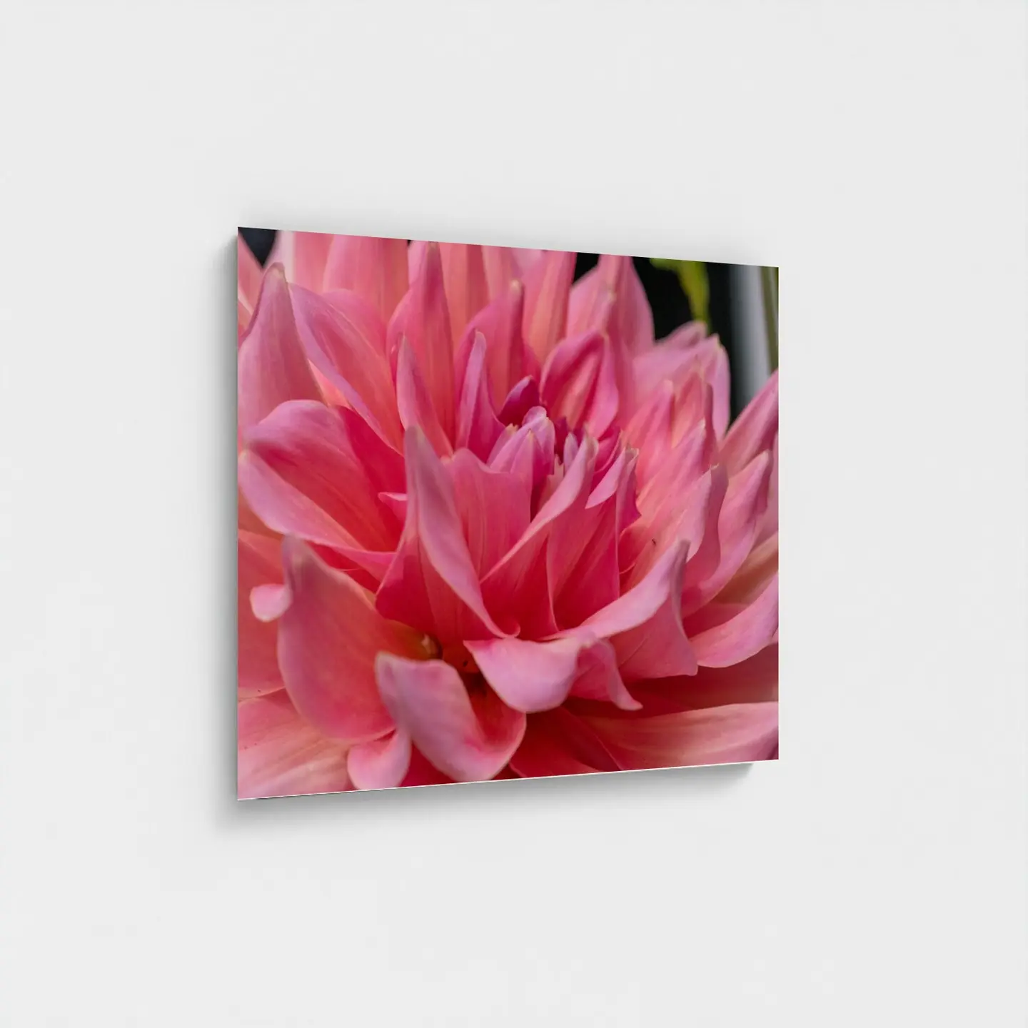 Black frame · box · no mount