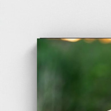 Black frame · box · no mount