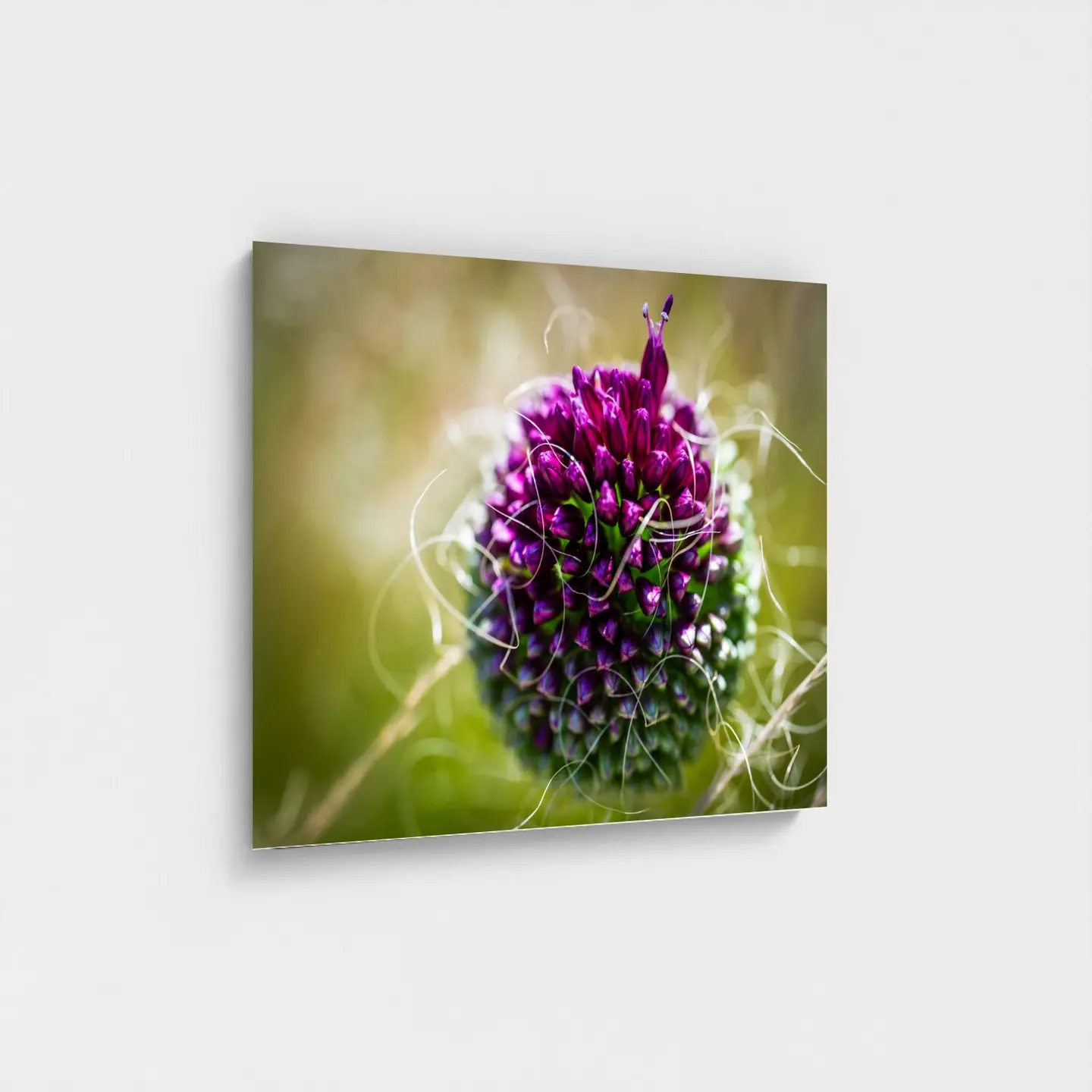 Black frame · box · no mount