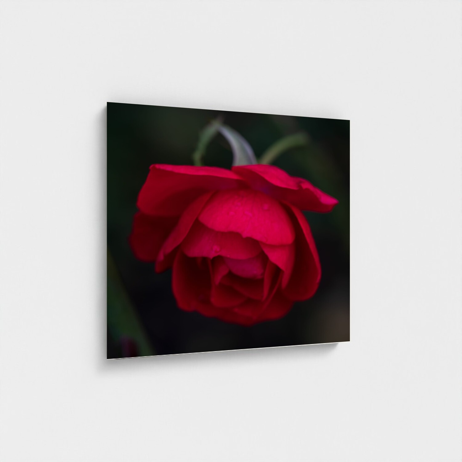 Black frame · box · no mount