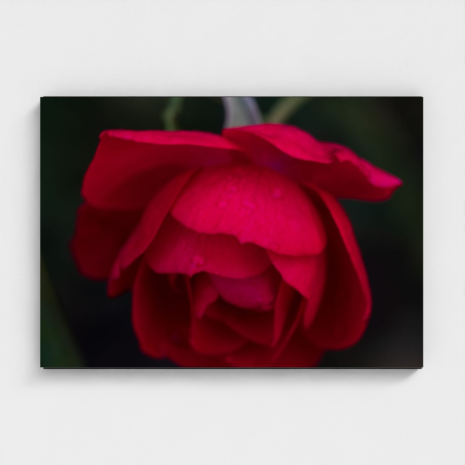 Black frame · box · no mount