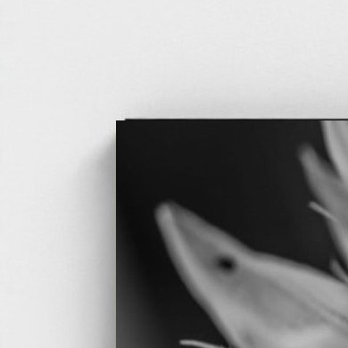 Black frame · box · no mount